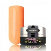 Brush & Go Color Gel Go58 – 4.5ml