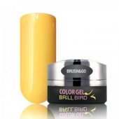 Brush & Go Color Gel Go9 – 4.5ml